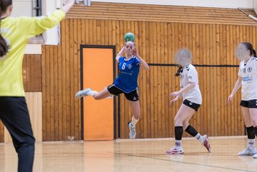 Bild 76 - wBJ TSV Ellerau - SV Fehmarn : Ergebnis: 27:20